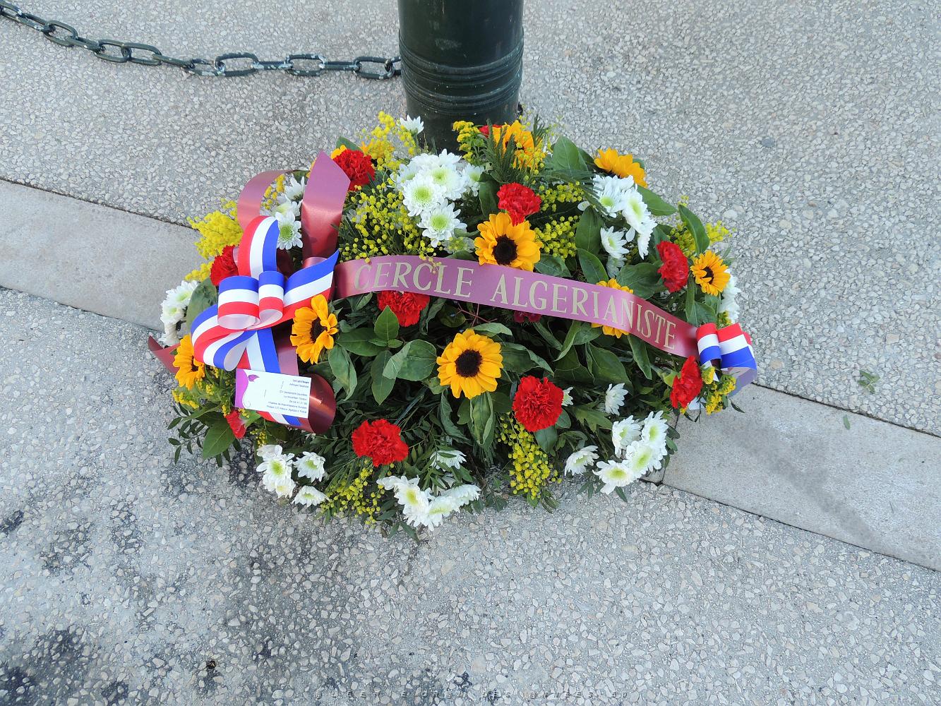 2021 12 05 TOULON JOURNEE NATIONALE D HOMMAGE AUX MORTS POUR LA FRANCE (9).JPG -           